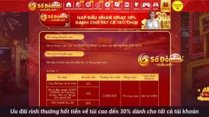 Ưu đãi rinh thưởng hốt tiền về túi cao đến 30% dành cho tất cả tài khoản